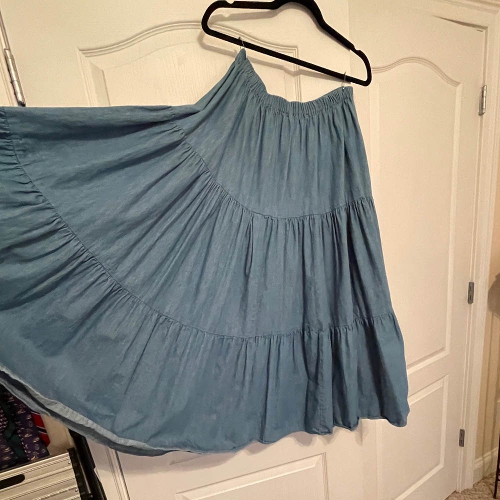 Vintage San Antonio Rose Broom Skirt Size Medium Large X Large